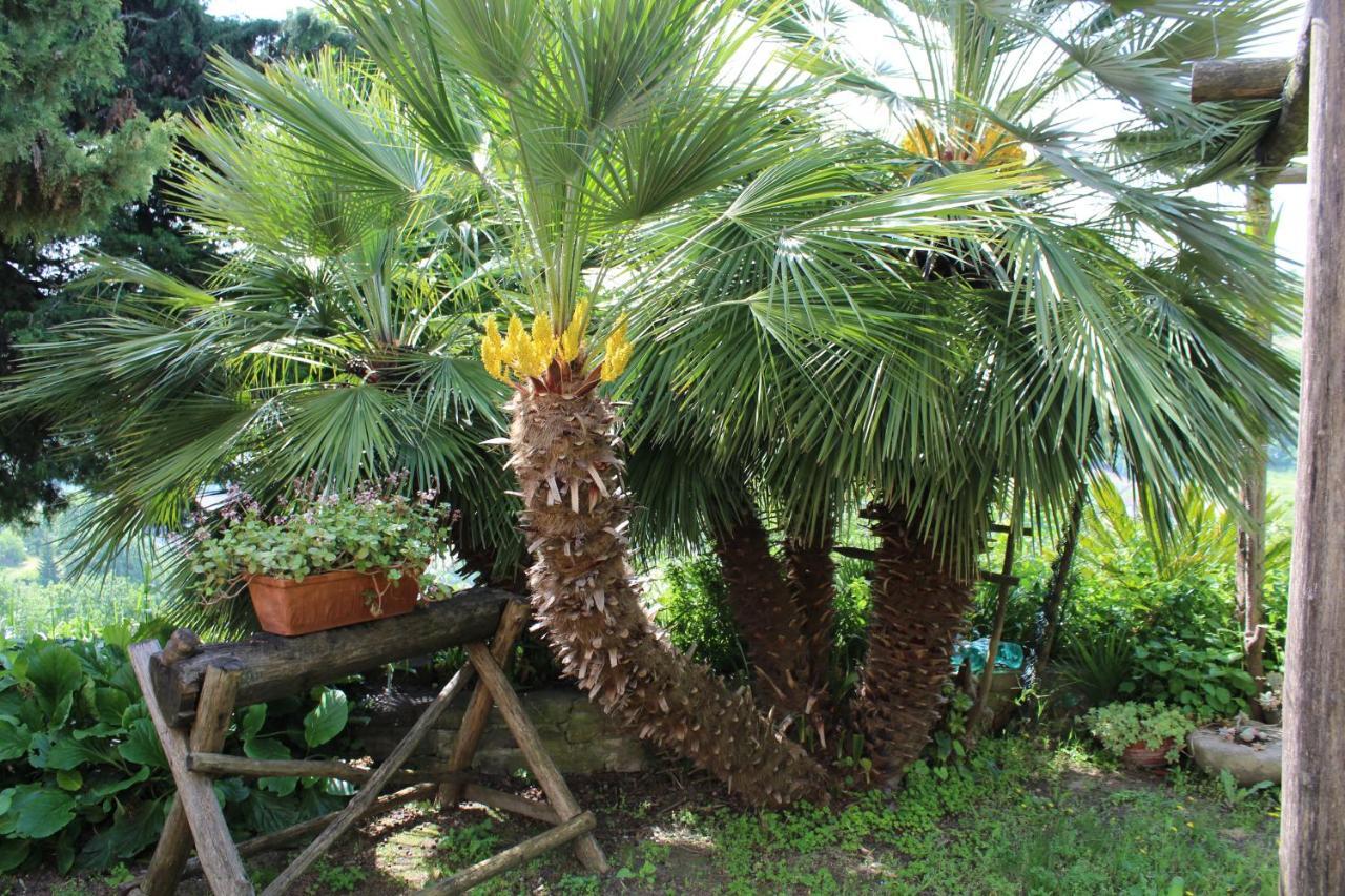 Agriturismo La Rovere Cossano Belbo Ngoại thất bức ảnh